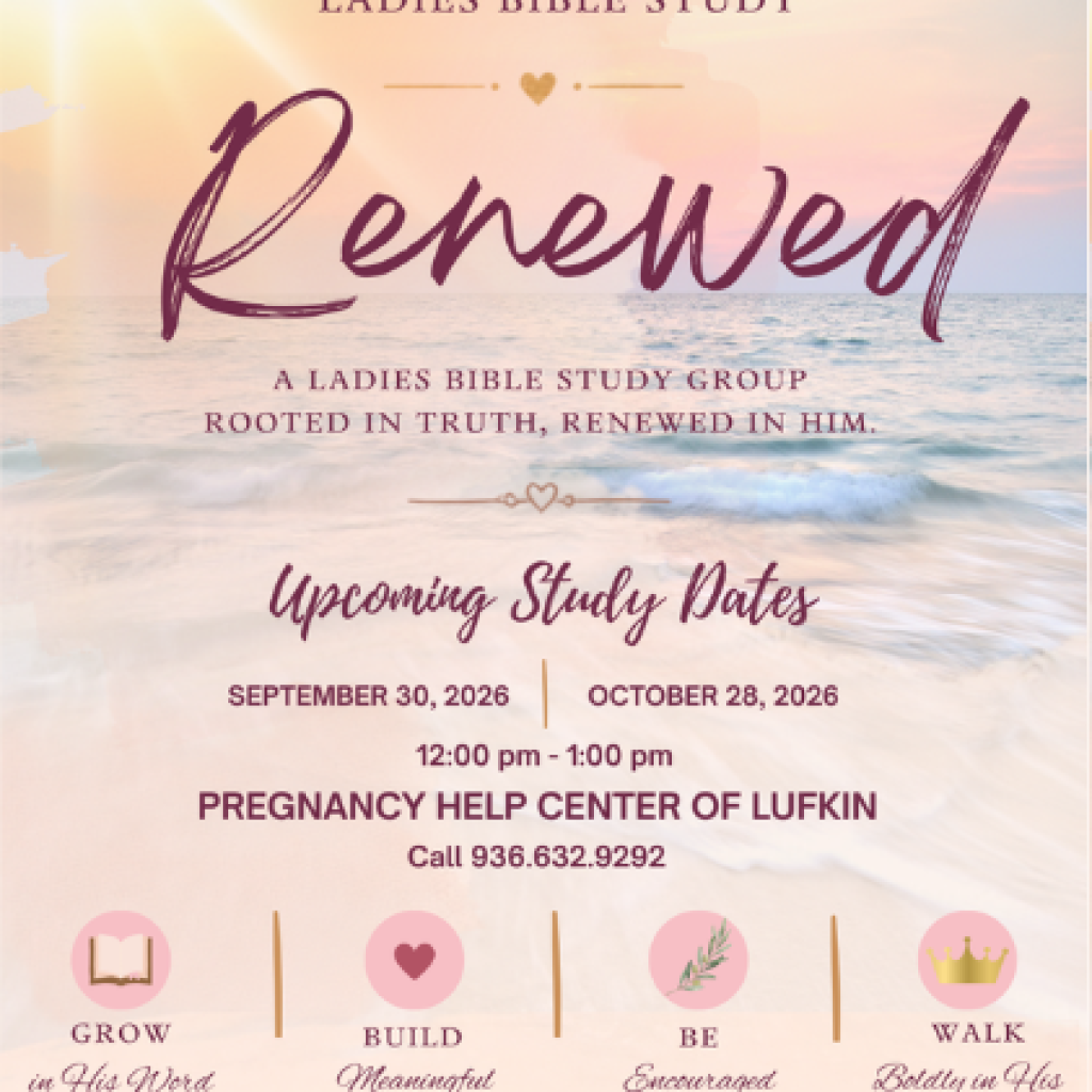 Renewed Bible Study